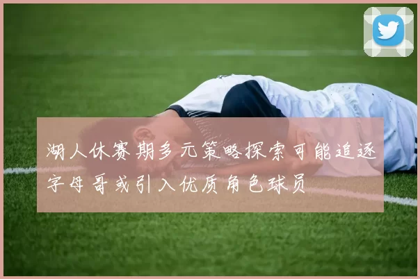 湖人休赛期多元策略探索可能追逐字母哥或引入优质角色球员